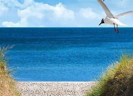 Gwiazda Morza Spa&sport - Destigo Отель 4*