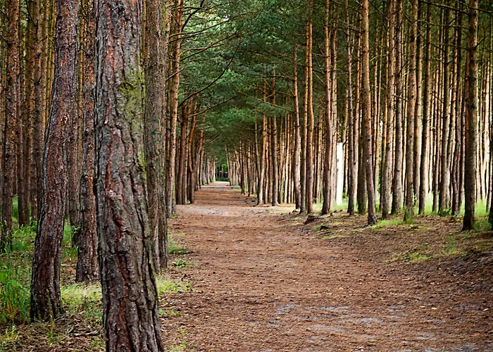 ホテル Gwiazda Morza Spa&sport 4*