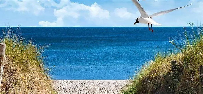 Gwiazda Morza Spa&sport Hotel 4*